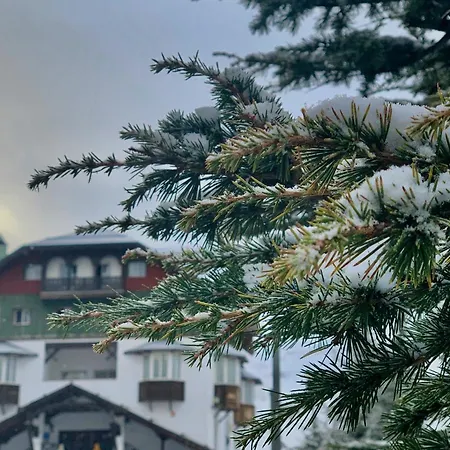 Ghm Monachil Sierra Nevada